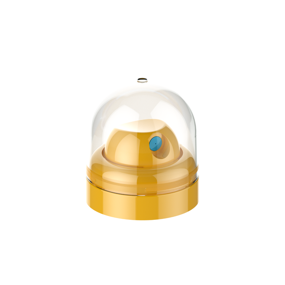 VV3 - gold with cap